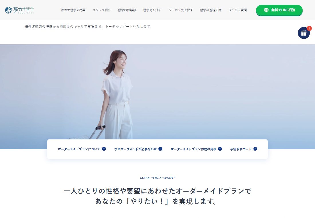 公式サイトのオーダーメイドプランの説明